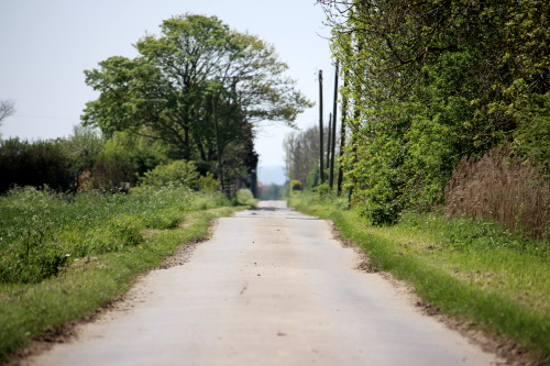 A typical fenland minor road